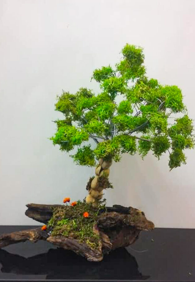 Aranjament licheni "The tree"