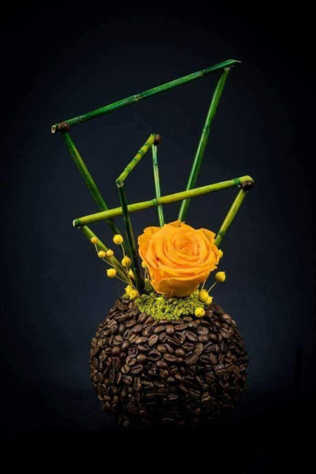 " Delicate beauty"