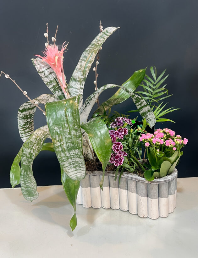 Aranjament de plante "Spring vibe" - Image 2