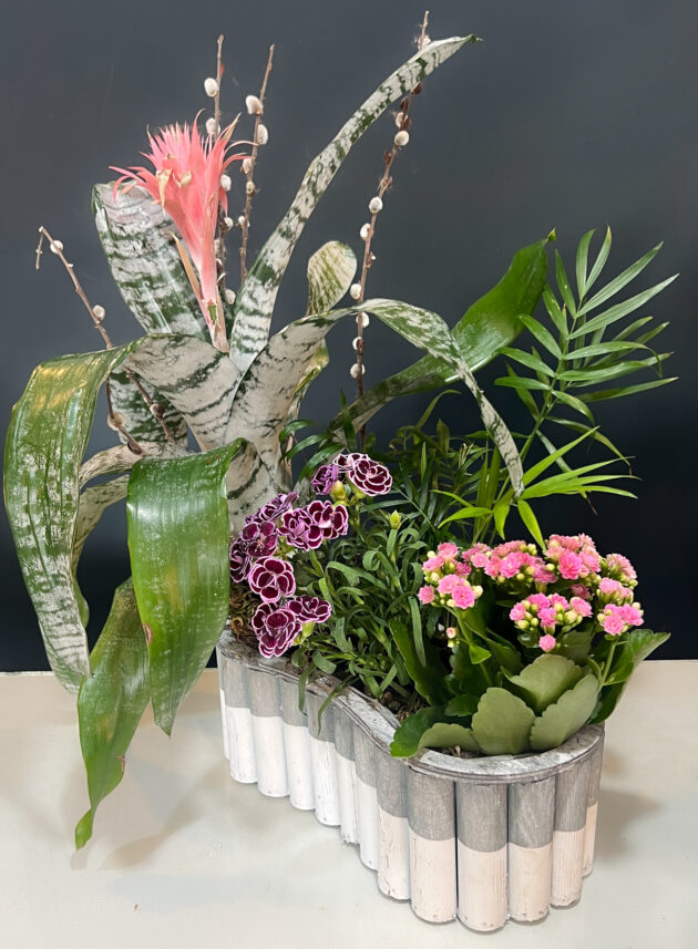 Aranjament de plante "Spring vibe"