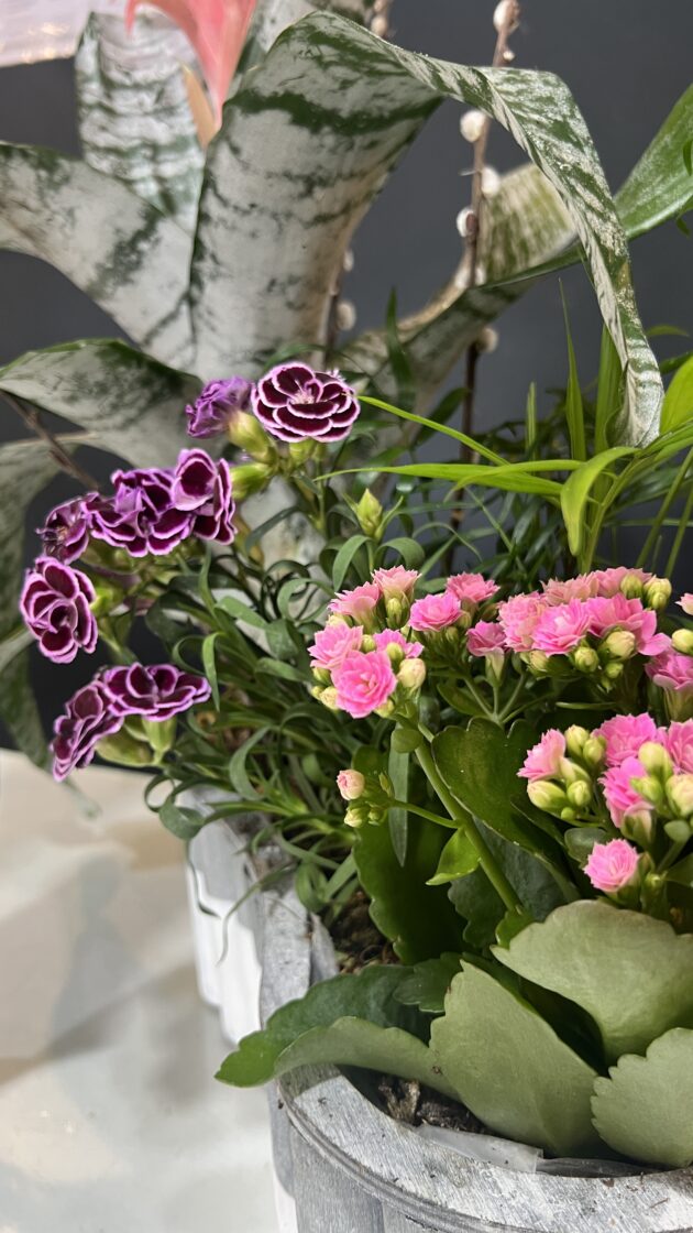 Aranjament de plante "Spring vibe" - Image 3